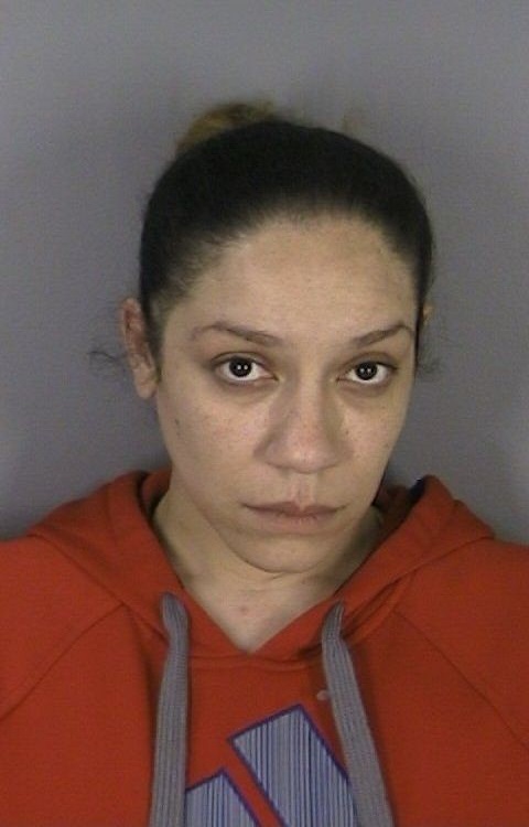 Fraud Task Force Announces Arrests Sullivan County NY